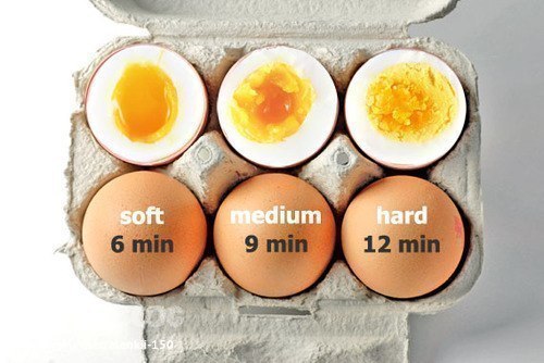 Яйца в бодибилдинге вредны ли яйца (белок vs холестерин)