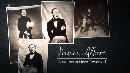 Channel 4 - Prince Albert A Victorian Hero Revealed (2019) 720p HDTV
