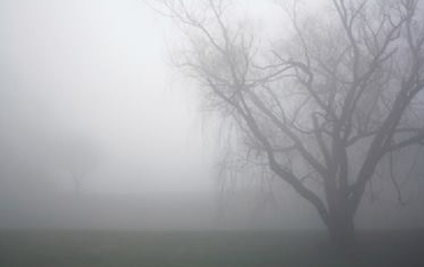 Украинцев предупредили о слабой видимости на дорогах из-за тумана