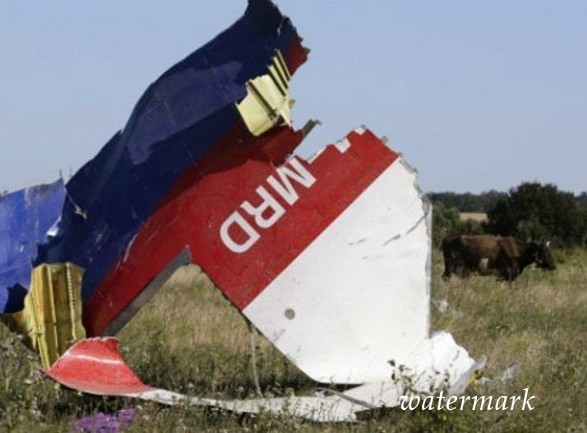 Рада растянула акт Соглашения по расследованию авиакатастрофы МН17