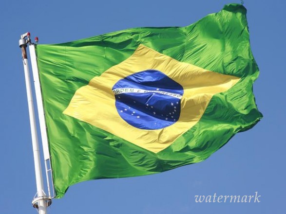 Бразилия выйдет из Глобального договора о миграции