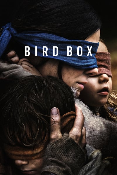 Bird Box 2018 WEBRip x264-FGT