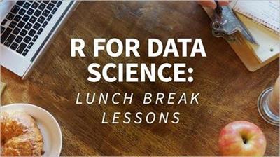 R for Data Science Lunchbreak Lessons [Updated 10172018]