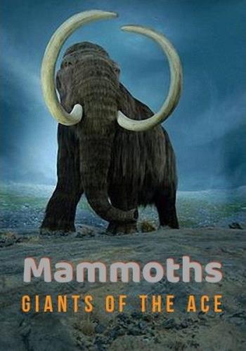  -    / Mammoths. Giants of the Ace (2014) HDTVRip