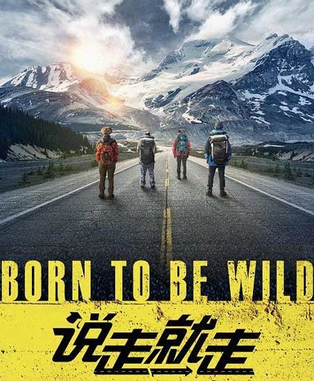  :   / Born To Be Wild (2018) WEB-DLRip