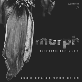 Audiomodern - Morph (WAV)