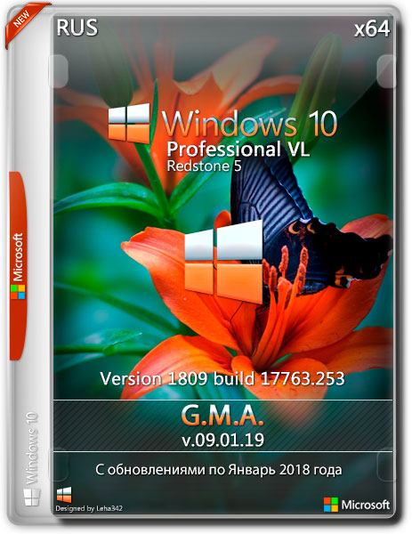 Windows 10 Pro VL RS5 1809.17763.253 x64 G.M.A. v.09.01.19 (RUS/2019)
