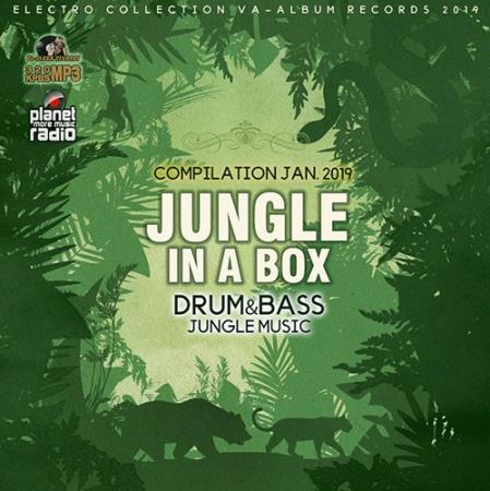 Jungle In A Box (2019)