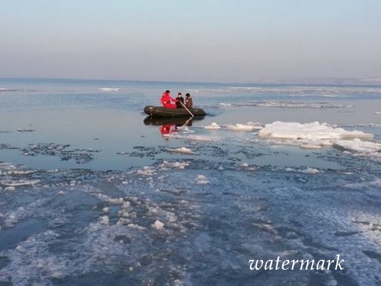 Под Одессой избавили ребятенков, дрейфовавших на льдине(фото)