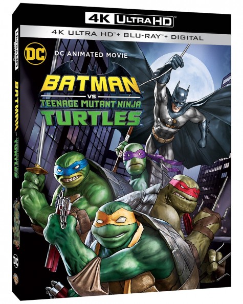 Batman vs Teenage Mutant Ninja Turtles 2019 720p BRRip X264 AC3-EVO