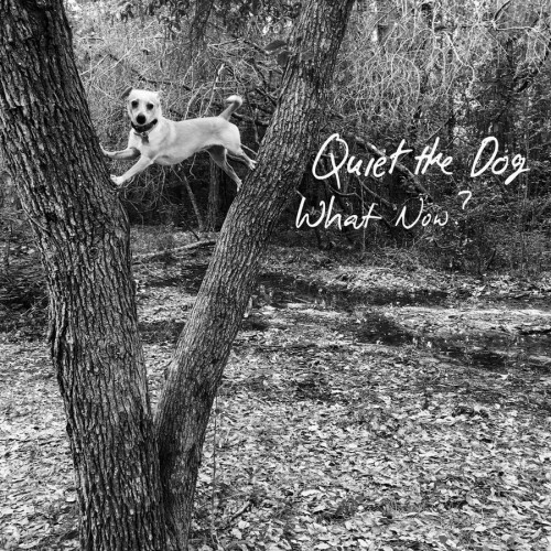 Quiet The Dog - What Now? (2018) (Lossless)