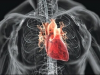 Лікування серцево-судинних захворювань - що змінилось в Україні за останні роки