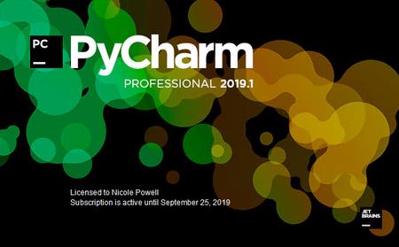 JetBrains PyCharm Professional 2019.1.3 WiN