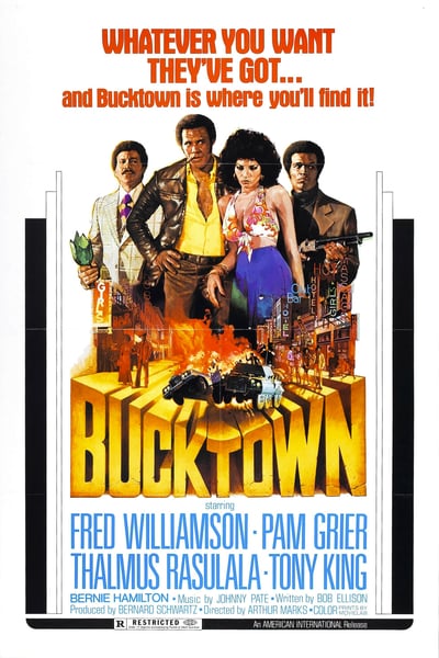 Bucktown 1975 1080p BluRay Remux AVC FLAC 2 0-EPSiLON