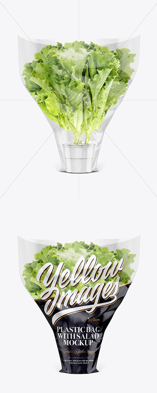 Plastic Bag With Salad Mockup 21726 TIF