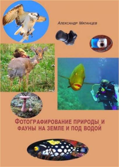 Александр Матанцев - Фотографирование природы и фауны на земле и под водой 