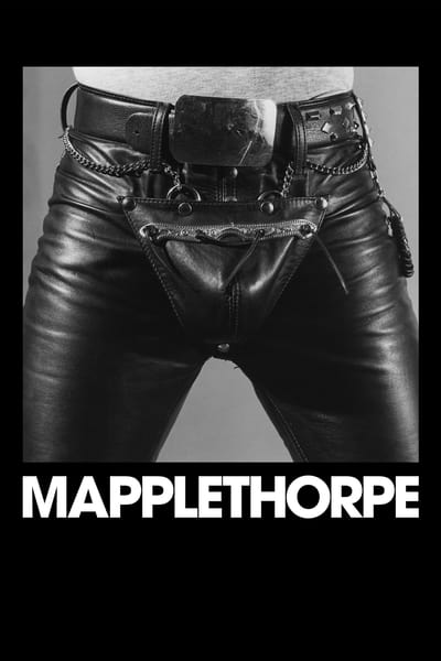Mapplethorpe 2018 1080p WEBRip x264 AAC-RARBG