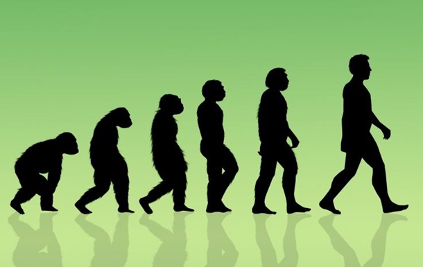 Ученые назвали причину эволюции человечества