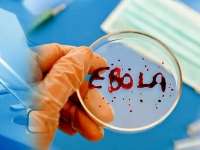 Гарячка ебола в республіці конго – другий за величиною спалах в світовій історії