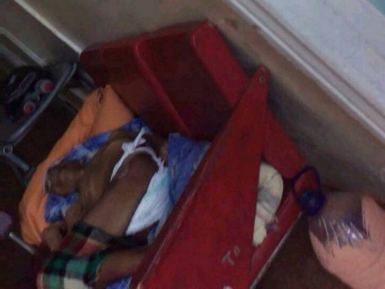 В больнице Днепра дядька умер из-за отсутствия денег на операцию: что говорят врачи