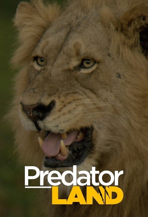 Predator Land S01e01 The Big Hunt 720p Webrip X264-caffeine