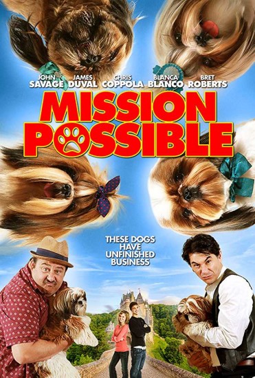 Mission Possible (2018) HDRip 720p x264 - SHADOW