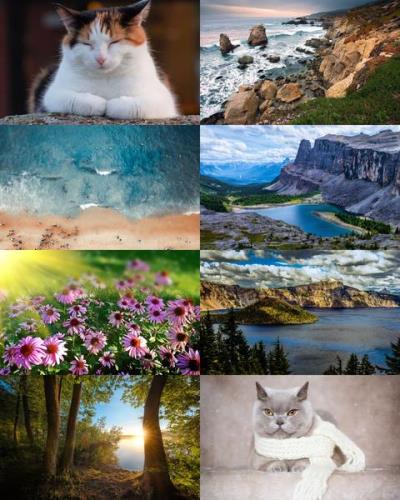 Wallpapers Mix №793