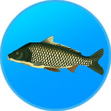 Реальная Рыбалка. Симулятор рыбной ловли   v1.11.0.523 Mod