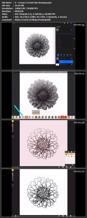 iPad Artistry Create Digital Art with Flower Photos