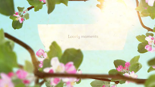 Lovely Moments 20175420 - Project for After Effects (Videohive)