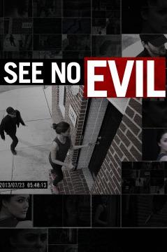 See No Evil S03e13 Random Sighting 720p Web X264-underbelly