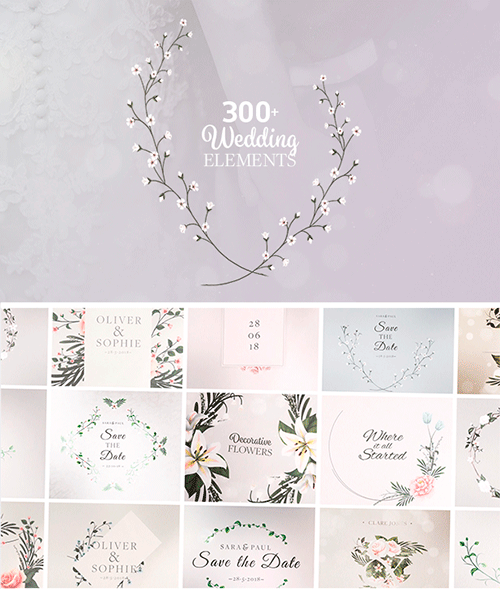Wedding 21411390 - Project for After Effects (Videohive)