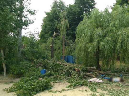 Упавшее от порыва ветра дерево убило женщину на базе роздыха под Харьковом