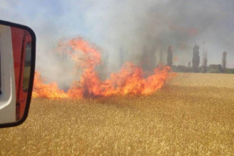 В Николаевской области пламенели 99 га поля с пшеницей