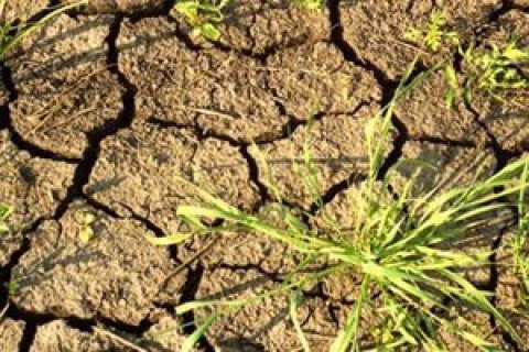 Литва обнародовала безмерное поза из-за засухи