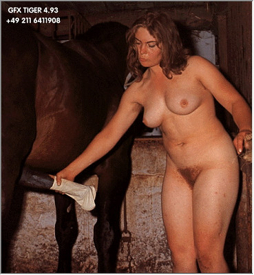 Animal Farm Porn 1981 Film
