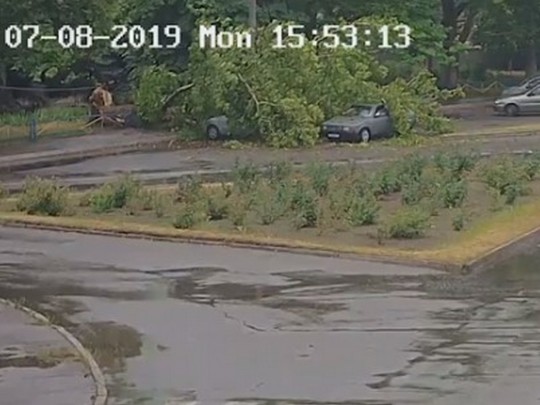 В Мелитополе огромное дерево рухнуло на проезжавший автомобиль: момент влетел на видео