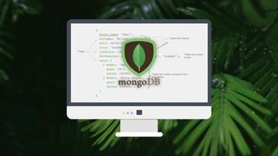 MongoDB - The Beginners Bootcamp