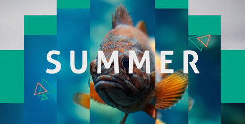 Summer Dynamic Opener 20394255 - Project for After Effects (Videohive)
