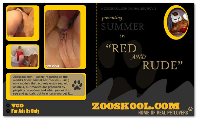 Home Of Real PetLover - Summer Red And Rude