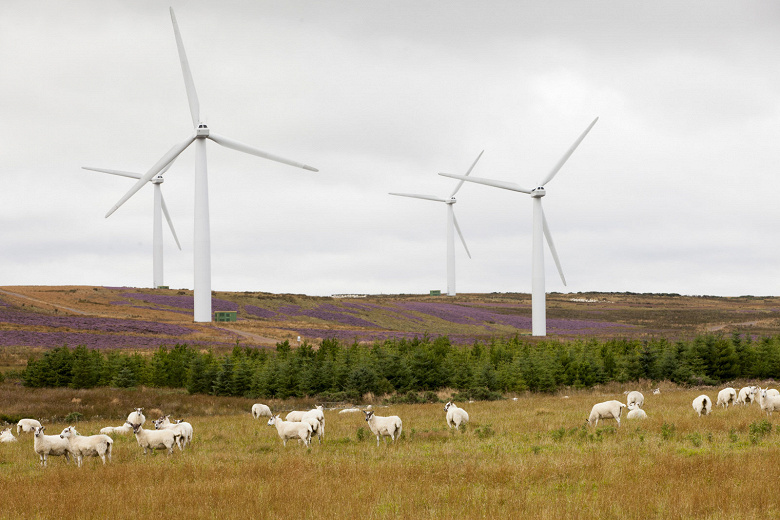 Ветряные электростанции Шотландии вдвое перекрывают надобности страны, если говорить всего о питании домохозяйств