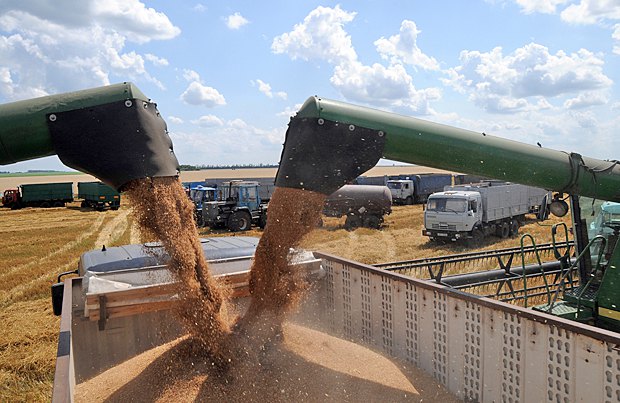 Экспорт зерновых из Украины впервинку превысил 50 млн тонн