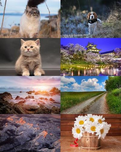 Wallpapers Mix №797