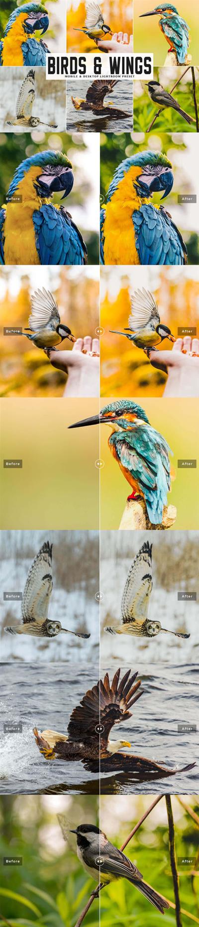 Birds & Wings Mobile & Desktop Lightroom Presets