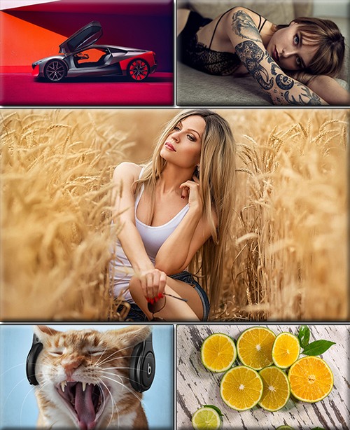 LIFEstyle News MiXture Images. Wallpapers Part (1526)