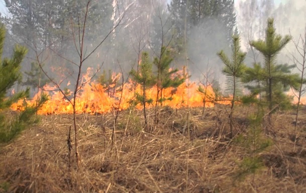 В Днепропетровской области объявили ЧП из-за пожаров