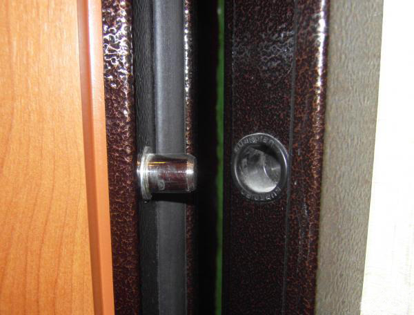 Двери гардиан стальные входные дверные блоки, фото в интерьере