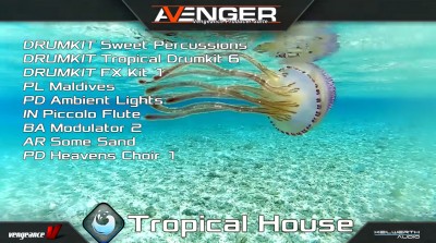 Vengeance Sound - Avenger Expansion pack: Tropical House (UNLOCKED) (Avenger)