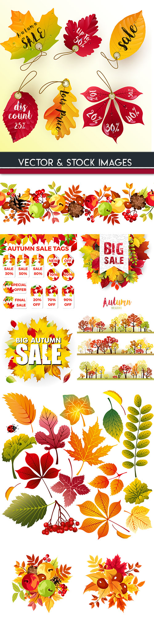Autumn sales leaf fall bright leaves illustration 