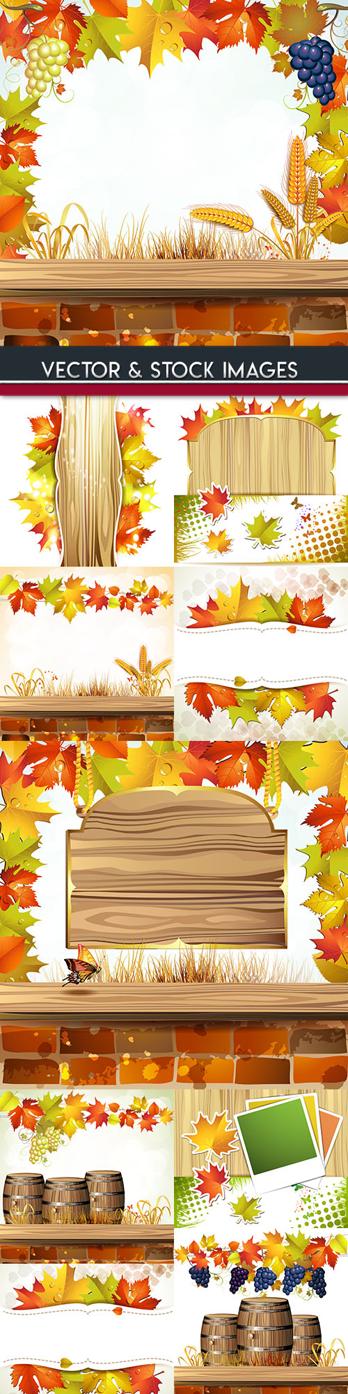 Autumn foliage and grape bunches illustration
